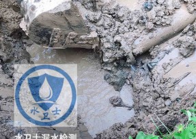 肇州县水管漏水检测公司5